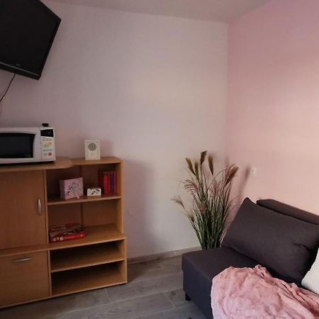 Apartma Lea 슬로벤 그라데츠 외부 사진
